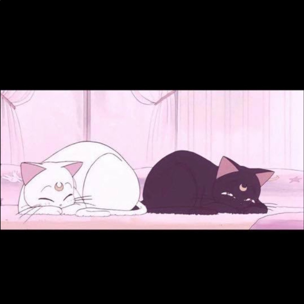 Meet your Posher, Rosie